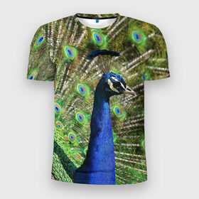 Мужская футболка 3D спортивная с принтом Павлин в Екатеринбурге, 100% полиэстер с улучшенными характеристиками | приталенный силуэт, круглая горловина, широкие плечи, сужается к линии бедра | Тематика изображения на принте: животные | павлин | перо | перышки | природа | птица