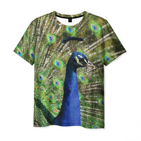Мужская футболка 3D с принтом Павлин в Екатеринбурге, 100% полиэфир | прямой крой, круглый вырез горловины, длина до линии бедер | животные | павлин | перо | перышки | природа | птица