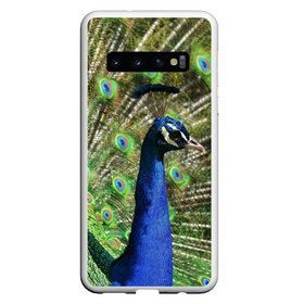 Чехол для Samsung Galaxy S10 с принтом Павлин в Екатеринбурге, Силикон | Область печати: задняя сторона чехла, без боковых панелей | Тематика изображения на принте: животные | павлин | перо | перышки | природа | птица