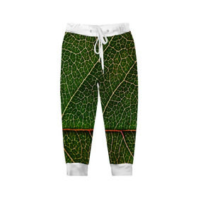 Детские брюки 3D с принтом Листик в Екатеринбурге, 100% полиэстер | манжеты по низу, эластичный пояс регулируется шнурком, по бокам два кармана без застежек, внутренняя часть кармана из мелкой сетки | дерево | зеленый | зелень | лист | природа | растения