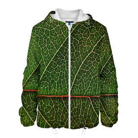 Мужская куртка 3D с принтом Листик в Екатеринбурге, ткань верха — 100% полиэстер, подклад — флис | прямой крой, подол и капюшон оформлены резинкой с фиксаторами, два кармана без застежек по бокам, один большой потайной карман на груди. Карман на груди застегивается на липучку | дерево | зеленый | зелень | лист | природа | растения