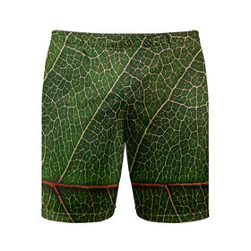 Мужские шорты 3D спортивные с принтом Листик в Екатеринбурге,  |  | дерево | зеленый | зелень | лист | природа | растения