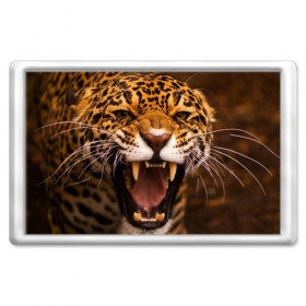 Магнит 45*70 с принтом Леопард в Екатеринбурге, Пластик | Размер: 78*52 мм; Размер печати: 70*45 | дикая кошка | клыки | леопард | оскал | хищник