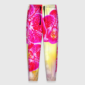 Мужские брюки 3D с принтом Орхидея в Екатеринбурге, 100% полиэстер | манжеты по низу, эластичный пояс регулируется шнурком, по бокам два кармана без застежек, внутренняя часть кармана из мелкой сетки | лепесток | орхидея | природа | цветок | яркая