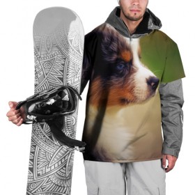 Накидка на куртку 3D с принтом Aussi в Екатеринбурге, 100% полиэстер |  | австралийская овчарка | животные | пёс | собака | щенок