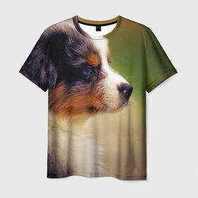 Мужская футболка 3D с принтом Aussi в Екатеринбурге, 100% полиэфир | прямой крой, круглый вырез горловины, длина до линии бедер | австралийская овчарка | животные | пёс | собака | щенок