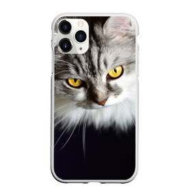 Чехол для iPhone 11 Pro матовый с принтом Жёлтые глаза в Екатеринбурге, Силикон |  | Тематика изображения на принте: взгляд | глаза | голова животного | киска | кот | котёнок | кошка | прикольные картинки