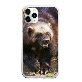 Чехол для iPhone 11 Pro матовый с принтом Росомаха в Екатеринбурге, Силикон |  | животные | лес | медведи | охота | природа | туризм