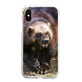 Чехол для iPhone XS Max матовый с принтом Росомаха в Екатеринбурге, Силикон | Область печати: задняя сторона чехла, без боковых панелей | животные | лес | медведи | охота | природа | туризм