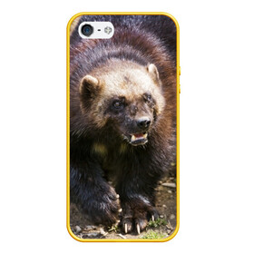 Чехол для iPhone 5/5S матовый с принтом Росомаха в Екатеринбурге, Силикон | Область печати: задняя сторона чехла, без боковых панелей | животные | лес | медведи | охота | природа | туризм