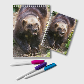 Блокнот с принтом Росомаха в Екатеринбурге, 100% бумага | 48 листов, плотность листов — 60 г/м2, плотность картонной обложки — 250 г/м2. Листы скреплены удобной пружинной спиралью. Цвет линий — светло-серый
 | Тематика изображения на принте: животные | лес | медведи | охота | природа | туризм