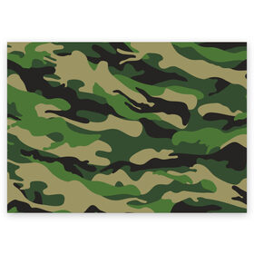 Поздравительная открытка с принтом Лесной камуфляж в Екатеринбурге, 100% бумага | плотность бумаги 280 г/м2, матовая, на обратной стороне линовка и место для марки
 | camouflage | forest camouflage | камуфляж | лесной камуфляж