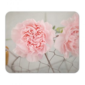 Коврик прямоугольный с принтом Розовый цветок в Екатеринбурге, натуральный каучук | размер 230 х 185 мм; запечатка лицевой стороны | женская | природа | растения | розовый | цветок | цветы