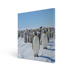 Холст квадратный с принтом Пингвины в Екатеринбурге, 100% ПВХ |  | пингвин