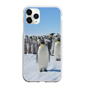 Чехол для iPhone 11 Pro матовый с принтом Пингвины в Екатеринбурге, Силикон |  | пингвин