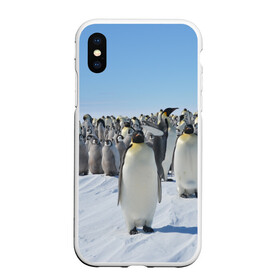 Чехол для iPhone XS Max матовый с принтом Пингвины в Екатеринбурге, Силикон | Область печати: задняя сторона чехла, без боковых панелей | пингвин