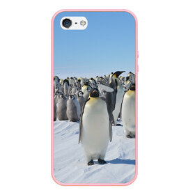 Чехол для iPhone 5/5S матовый с принтом Пингвины в Екатеринбурге, Силикон | Область печати: задняя сторона чехла, без боковых панелей | пингвин