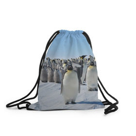 Рюкзак-мешок 3D с принтом Пингвины в Екатеринбурге, 100% полиэстер | плотность ткани — 200 г/м2, размер — 35 х 45 см; лямки — толстые шнурки, застежка на шнуровке, без карманов и подкладки | пингвин