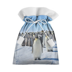 Подарочный 3D мешок с принтом Пингвины в Екатеринбурге, 100% полиэстер | Размер: 29*39 см | пингвин