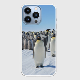 Чехол для iPhone 13 Pro с принтом Пингвины в Екатеринбурге,  |  | пингвин
