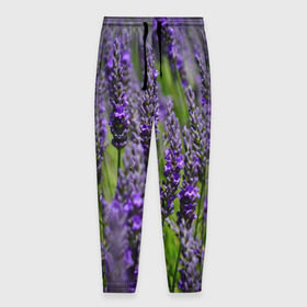 Мужские брюки 3D с принтом Лаванда в Екатеринбурге, 100% полиэстер | манжеты по низу, эластичный пояс регулируется шнурком, по бокам два кармана без застежек, внутренняя часть кармана из мелкой сетки | зеленый | зелень | лаванда | лето | поле | природа | синий | цветы