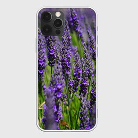 Чехол для iPhone 12 Pro Max с принтом Лаванда в Екатеринбурге, Силикон |  | зеленый | зелень | лаванда | лето | поле | природа | синий | цветы