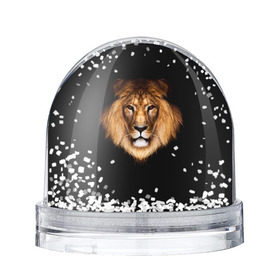 Снежный шар с принтом Лев в Екатеринбурге, Пластик | Изображение внутри шара печатается на глянцевой фотобумаге с двух сторон | lion | голова | лев