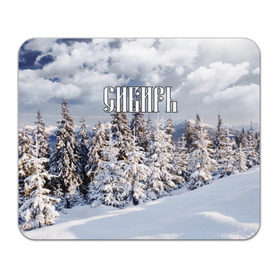 Коврик прямоугольный с принтом Сибирь в Екатеринбурге, натуральный каучук | размер 230 х 185 мм; запечатка лицевой стороны | Тематика изображения на принте: ель | лес | небо | облака | природа | снег | сосна | сугробы | тайга | хвоя