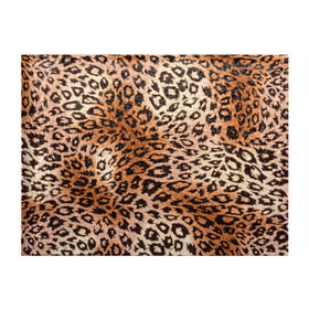 Обложка для студенческого билета с принтом Леопардовая шкура в Екатеринбурге, натуральная кожа | Размер: 11*8 см; Печать на всей внешней стороне | Тематика изображения на принте: гепард | гламур | леопард | мода | роскошь | шерсть