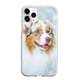 Чехол для iPhone 11 Pro Max матовый с принтом Австралийская овчарка в Екатеринбурге, Силикон |  | австралийская овчарка | животные | природа | собака | щенок