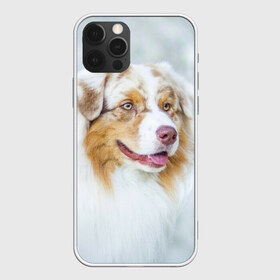 Чехол для iPhone 12 Pro Max с принтом Австралийская овчарка в Екатеринбурге, Силикон |  | австралийская овчарка | животные | природа | собака | щенок