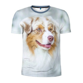 Мужская футболка 3D спортивная с принтом Австралийская овчарка в Екатеринбурге, 100% полиэстер с улучшенными характеристиками | приталенный силуэт, круглая горловина, широкие плечи, сужается к линии бедра | Тематика изображения на принте: австралийская овчарка | животные | природа | собака | щенок