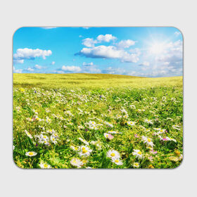 Коврик прямоугольный с принтом Ромашковый ковёр в Екатеринбурге, натуральный каучук | размер 230 х 185 мм; запечатка лицевой стороны | горизонт | зелень | небо | облака | поле | поляна | ромашки | солнце | цветы