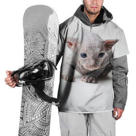 Накидка на куртку 3D с принтом Сфинкс 1 в Екатеринбурге, 100% полиэстер |  | Тематика изображения на принте: кот | котенок | котик | котэ | кошка | сфинкс