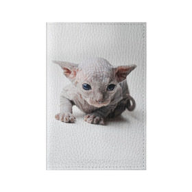 Обложка для паспорта матовая кожа с принтом Сфинкс 1 в Екатеринбурге, натуральная матовая кожа | размер 19,3 х 13,7 см; прозрачные пластиковые крепления | кот | котенок | котик | котэ | кошка | сфинкс