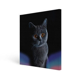 Холст квадратный с принтом Британец 1 в Екатеринбурге, 100% ПВХ |  | Тематика изображения на принте: британец | британская | британцы | кот | котенок | котик | котэ | кошка