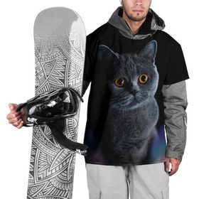 Накидка на куртку 3D с принтом Британец 1 в Екатеринбурге, 100% полиэстер |  | Тематика изображения на принте: британец | британская | британцы | кот | котенок | котик | котэ | кошка