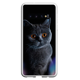 Чехол для Samsung Galaxy S10 с принтом Британец 1 в Екатеринбурге, Силикон | Область печати: задняя сторона чехла, без боковых панелей | Тематика изображения на принте: британец | британская | британцы | кот | котенок | котик | котэ | кошка