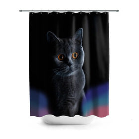 Штора 3D для ванной с принтом Британец 1 в Екатеринбурге, 100% полиэстер | плотность материала — 100 г/м2. Стандартный размер — 146 см х 180 см. По верхнему краю — пластиковые люверсы для креплений. В комплекте 10 пластиковых колец | британец | британская | британцы | кот | котенок | котик | котэ | кошка