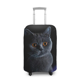 Чехол для чемодана 3D с принтом Британец 1 в Екатеринбурге, 86% полиэфир, 14% спандекс | двустороннее нанесение принта, прорези для ручек и колес | британец | британская | британцы | кот | котенок | котик | котэ | кошка