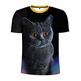 Мужская футболка 3D спортивная с принтом Британец 1 в Екатеринбурге, 100% полиэстер с улучшенными характеристиками | приталенный силуэт, круглая горловина, широкие плечи, сужается к линии бедра | британец | британская | британцы | кот | котенок | котик | котэ | кошка