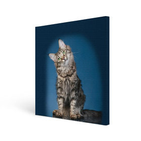 Холст квадратный с принтом Мейн-кун 2 в Екатеринбурге, 100% ПВХ |  | Тематика изображения на принте: кот | котенок | котик | котэ | кошка | мейн кун | мейнкун | мэйн кун | мэйнкун