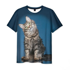 Мужская футболка 3D с принтом Мейн-кун 2 в Екатеринбурге, 100% полиэфир | прямой крой, круглый вырез горловины, длина до линии бедер | Тематика изображения на принте: кот | котенок | котик | котэ | кошка | мейн кун | мейнкун | мэйн кун | мэйнкун