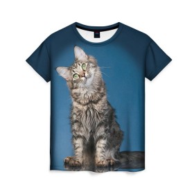 Женская футболка 3D с принтом Мейн-кун 2 в Екатеринбурге, 100% полиэфир ( синтетическое хлопкоподобное полотно) | прямой крой, круглый вырез горловины, длина до линии бедер | кот | котенок | котик | котэ | кошка | мейн кун | мейнкун | мэйн кун | мэйнкун