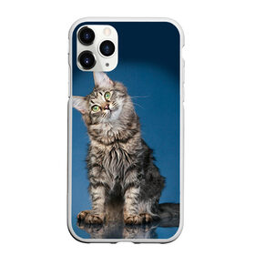 Чехол для iPhone 11 Pro Max матовый с принтом Мейн-кун 2 в Екатеринбурге, Силикон |  | кот | котенок | котик | котэ | кошка | мейн кун | мейнкун | мэйн кун | мэйнкун