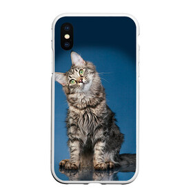 Чехол для iPhone XS Max матовый с принтом Мейн-кун 2 в Екатеринбурге, Силикон | Область печати: задняя сторона чехла, без боковых панелей | Тематика изображения на принте: кот | котенок | котик | котэ | кошка | мейн кун | мейнкун | мэйн кун | мэйнкун