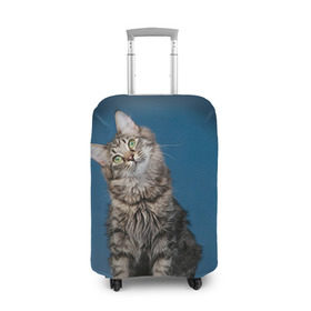 Чехол для чемодана 3D с принтом Мейн-кун 2 в Екатеринбурге, 86% полиэфир, 14% спандекс | двустороннее нанесение принта, прорези для ручек и колес | кот | котенок | котик | котэ | кошка | мейн кун | мейнкун | мэйн кун | мэйнкун