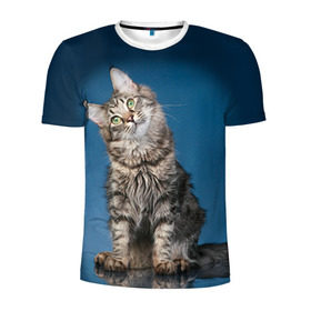 Мужская футболка 3D спортивная с принтом Мейн-кун 2 в Екатеринбурге, 100% полиэстер с улучшенными характеристиками | приталенный силуэт, круглая горловина, широкие плечи, сужается к линии бедра | Тематика изображения на принте: кот | котенок | котик | котэ | кошка | мейн кун | мейнкун | мэйн кун | мэйнкун