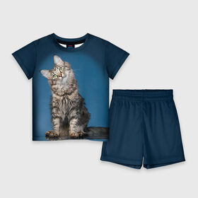 Детский костюм с шортами 3D с принтом Мейн кун 2 в Екатеринбурге,  |  | Тематика изображения на принте: кот | котенок | котик | котэ | кошка | мейн кун | мейнкун | мэйн кун | мэйнкун