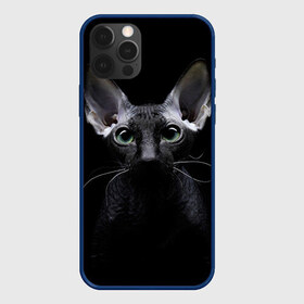 Чехол для iPhone 12 Pro Max с принтом Сфинкс 2 в Екатеринбурге, Силикон |  | Тематика изображения на принте: кот | котенок | котик | котэ | кошка | сфинкс